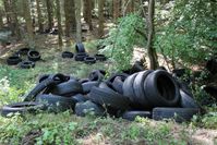 Übersichtsaufnahme der im Wald abgelagerten Reifen Bild: Polizeidirektion Montabaur (ots)