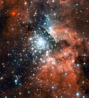 Der junge Sternhaufen NGC 3603 in einem der Spiralarme unserer Galaxie, der Milchstraße, ist rund 20.000 Lichtjahre von unserer Sonne entfernt. In dem dichten Kern des Haufens werden Doppelsterne in ihre Komponenten aufgespalten.
Quelle: (c) NASA/STScI, Hubble Heritage (idw)