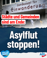 Bild: AfD Deutschland