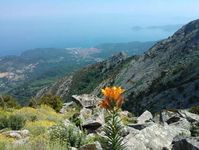 Elba