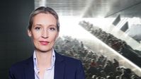 Dr. Alice Weidel (2018)