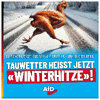 Bild: AfD Deutschland