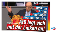 Bild: AfD Deutschland