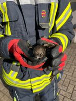 Bild: Feuerwehr Celle