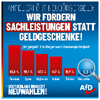 Bild: AfD Deutschland