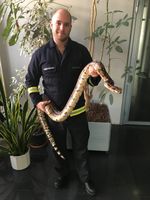 Boa Constrictor vom 19.01.2019, Feuerwehr Düsseldorf