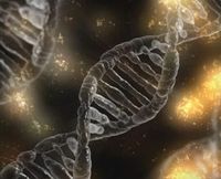 DNA: Viele Faktoren lösen Tourette aus.