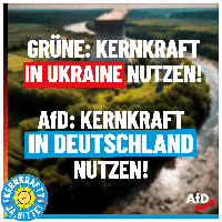 Bild: AfD Deutschland