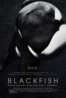 "BLACKFISH" Kinoplakat