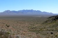 Mojave-Wüste
