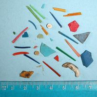 Sammlung kleiner Plastikreste
Quelle: © Stefanie Meyer, Alfred-Wegener-Institut (idw)