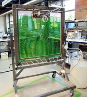 Der Plattenreaktor im Labor sorgt für ein optimales Lichtmanagement bei der Kultivierung von Algen. Bild: Florian Lehr
