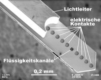 siehe Bild
Quelle: Quelle: IMTEK / Universität Freiburg (idw)