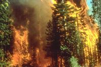 Ein Waldbrand in Kalifornien, 5 September 2008