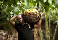 Fortin Bley, Mitglied der Kooperative CANN in der Elfenbeinküste. Von den Absätzen profitieren Kleinbauern und Arbeiter in Afrika, Asien und Lateinamerika. Bild: "obs/TransFair e.V./Eric St-Pierre"