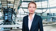 Alice Weidel (2017)