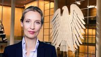 Dr. Alice Weidel (2020)