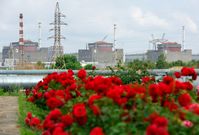 Archivbild: Das Kernkraftwerk Saporoschje in der Nähe der Stadt Energodar, 15. Juni 2023. Bild: TAISSIJA WORONZOWA / Sputnik