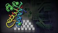 Modell des Proteins Lanmodulin.