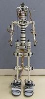 Roboter: intelligentes Gehen verinnerlicht. Bild: S. Shimoda, brain.riken.jp