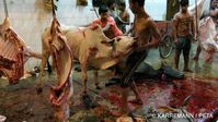 Schlachthof in Bangladesch: Brutale Tötungsmethoden für die Lederproduktion. Bild: "obs/PETA Deutschland e.V./Karremann / PETA"