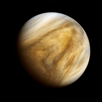 Venus