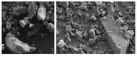 Mikroplastik aus Peeling-Produkten (li.) und gemahlenes Karnaubawachs (re.) haben ähnliche Eigenscha
Quelle: Fraunhofer UMSICHT (idw)