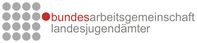 Bundesarbeitsgemeinschaft Landesjugendämter