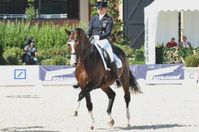 Dorothee Schneider gewinnt mit ihrem Trakehnerhengst Polarzauber die erste Dressurprüfung der Peterhof Dressur Gala. Bild: "obs/EN GARDE Marketing GmbH"