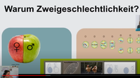 Screenshot des Videovortrags Bild:  donnadottir auf YouTube / RT