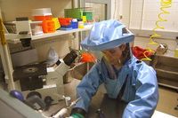 A researcher working with the Ebola virus while wearing a BSL-4 positive pressure suit to avoid infection