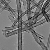 Dicke Kohlenstoff-Nanoröhren im Elektronenmikroskop. Bild: Leonhardt, Leibniz-Institut Dresden