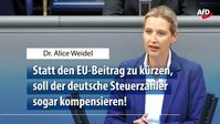 Dr. Alice Weidel (2020)