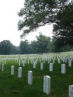 Gräber auf dem Arlingtoner Nationalfriedhof. Bild: cl chua at en.wikipedia