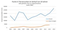 Der Langzeitverlauf zeigt: Der Einsatz von Fischen im Tierversuch steigt. Auch der Anteil transgener Fische, von denen vor allem Zebrafische betroffen sind, wächst seit Jahren stetig (rote Linie). Lediglich in den Jahren 2005, 2007/08 und 2012 ist der „Verbrauch“ zurückgegangen.