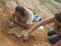 Prof. Madelaine Böhme (rechts) und Geologe Philipe Havlik bei Grabungsarbeiten nahe der bulgarischen Stadt Chirpan
Quelle: Foto: Prof. Madelaine Böhme (idw)