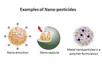 Beispiele für Nanopestizide
Quelle:  (idw)