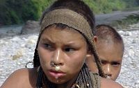 Es leben mindestens 15 unkontaktierte Völker in Peru. Bild: Anon/Survival