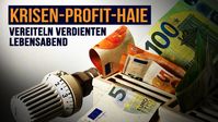 Bild: SS Video: "Krisen-Profit-Haie vereiteln verdienten Lebensabend" (www.kla.tv/25578) / Eigenes Werk