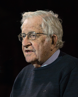 Noam Chomsky (2017), Archivbild