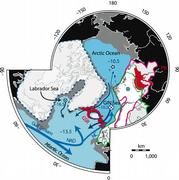  Schematische Abbildung des arktischen und nordatlantischen Ozeans, wichtige Ozeanströmungen (blau für die Oberfläche, schwarz für die Tiefe) und Verteilung der glazialen Eisschilde (weiße Flächen). Die Lokation der untersuchten Sedimente ist durch einen Stern gekennzeichnet. Bild: IFM-GEOMAR