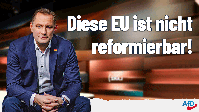 Bild: AfD Deutschland