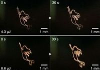 3D-Bilder: Laser formt Blasen in Flüssigkeit. Bild: utsunomiya-u.ac.jp