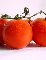 Engpass bei Tomaten treibt Preise an. Bild: pixelio.de, Halina Zaremba