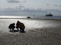 Dr. Dietmar Bürk, vom Helmholtz-Zentrum Geesthacht, Rainer Leive und Dr. Joachim Karig (von links) suchen im Frühjahr 2011 vor Ort im Wattenmeer bei Cuxhaven nach Spuren und Anhaltspunkten der genauen Position der hier gestrandeten "Gottfried". Bereits anhand der Beschaffenheit des Sandes können Rückschlüsse auf das Einsinken und Wandern von Strandgut im Grund gewonnen werden. Bild: ZDF und Friedrich Steinhardt