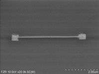 Nanodraht mit einem Durchmesser von ~50 Nanometer mit integrierten 200x200 nm2 Kontaktflächen. Foto: FZD
