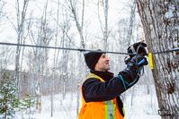 Ahornernte  Bild: Québec Maple Syrup Producers (QMSP) Fotograf: Dion