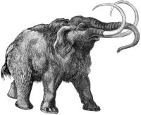 Mammut