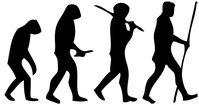 Populäre Darstellung der Evolution des aufrechten Gangs
