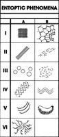 Basistypen von geometrischen Strukturen, nach Lewis-Williams und Dowson (1988).